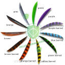 Lotka kolor Parabolic Trueflight 5.3/4" Maxi Fletch pióra