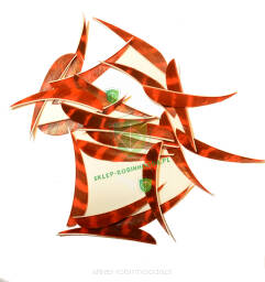 -40% Lotka pióro Trueflight 3.5" BARRED Parabolic -naturalna (orange)