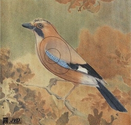 Tarcza SÓJKA 2D - papier wzmacniany JVD