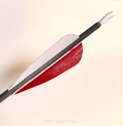 Strzała Skylon Carbon NOVICE Feather - pióra 3" - cienka carbon - spine  800, 900, 1000, 1100, 1300 - 1szt