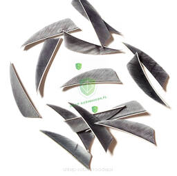 Lotka pióro 3" Shield TRUEFLIGHT 3 szara