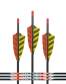 Strzała Black Eagle Intrepid carbon 4mm - lotka Shield 3" naturalna - spine 500, 600, 700, 800 ,900 1000, 1200 (6szt/12szt)