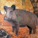 -20% Tarcza DZIK 2D - papier wzmacniany JVD BF24