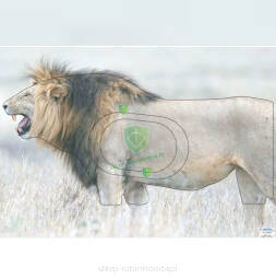 Tarcza Lew 2D Sylwetka - foto papier