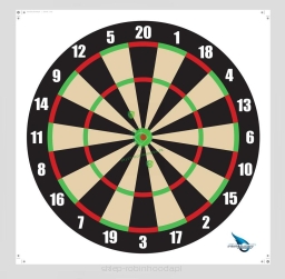 Tarcza Papierowa DART kolor do gry - tarcza łucznicza wzmacniana nitkami