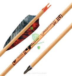 12x Strzała Carbon Gold Tip TRADITIONAL XT - spine 400 - lotki Shield 4 - tradycyjna Carbon drewno Traditional XT 400